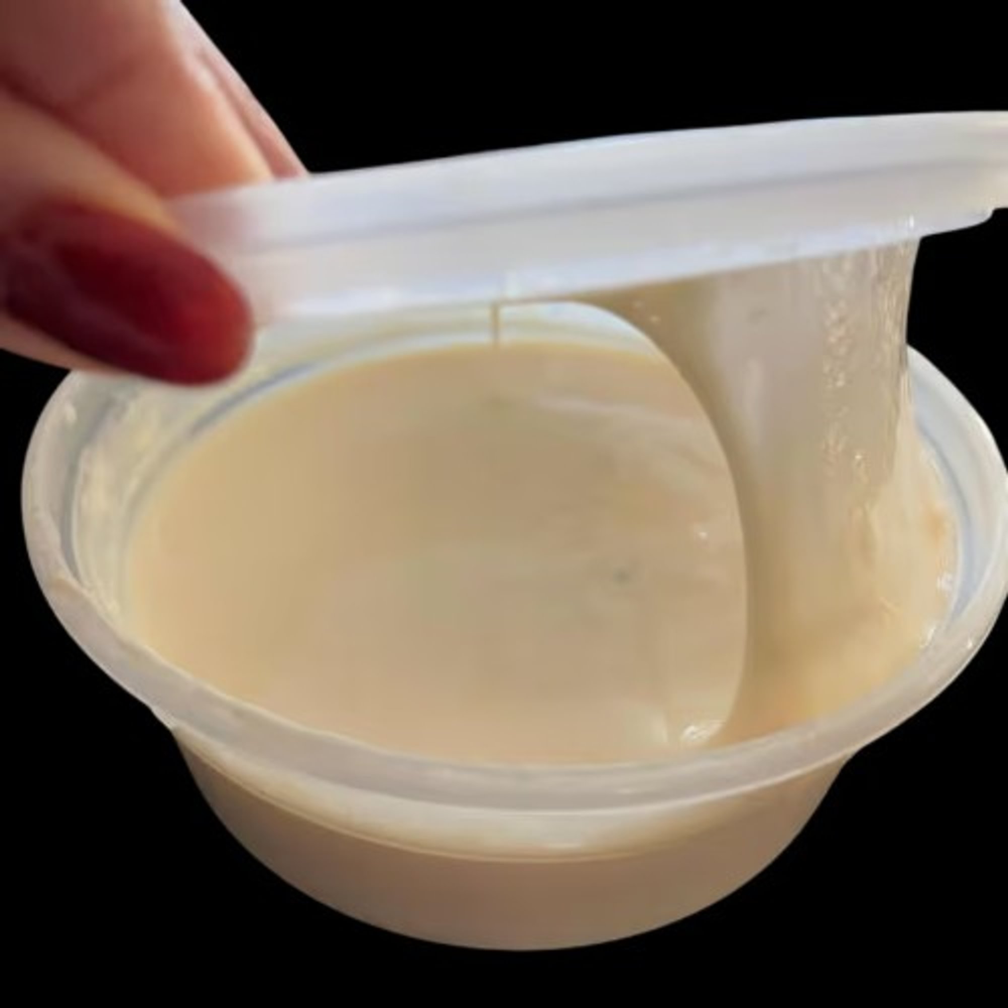 Rice Pudding