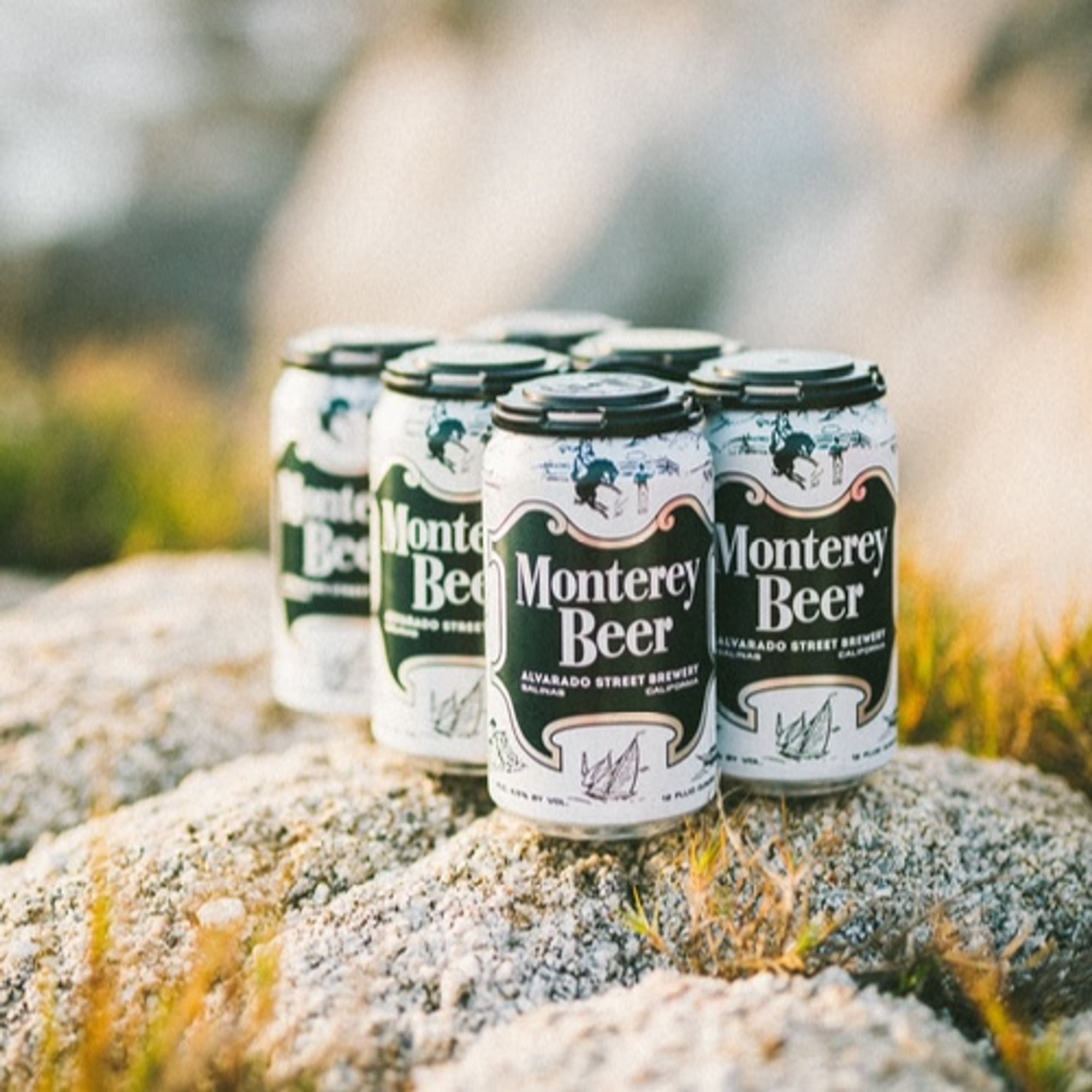 6 Pack Monterey Beer