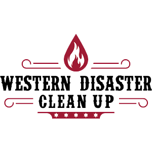 Western Disaster Cleanup