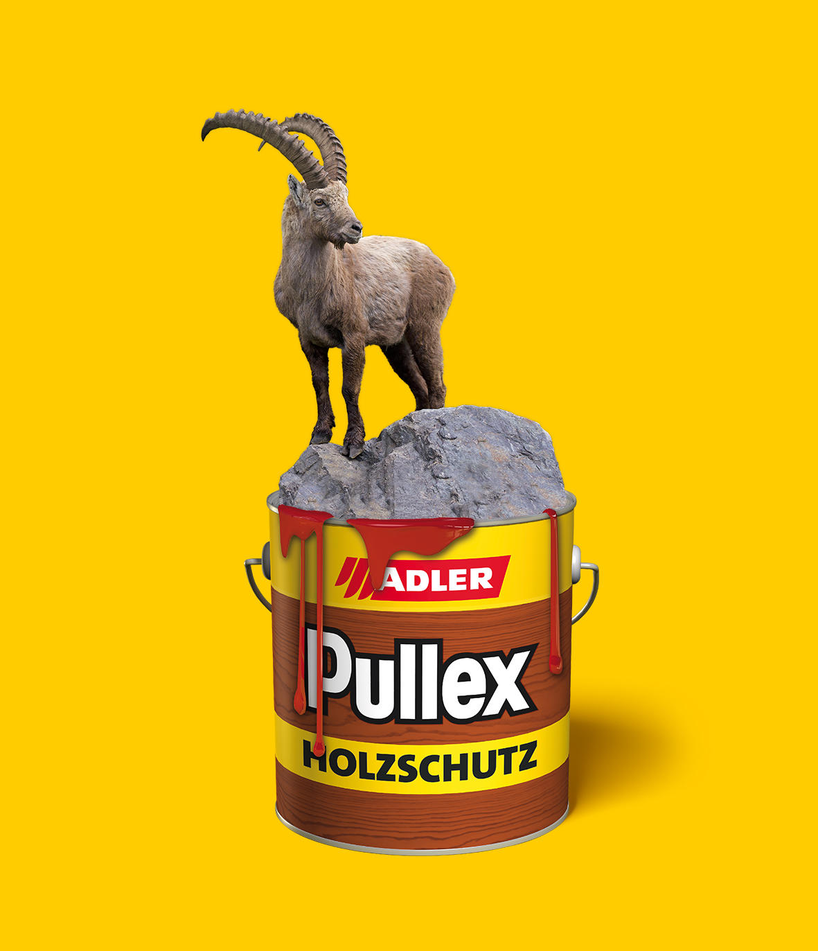 Bilder Ladstätter Günther e.U.