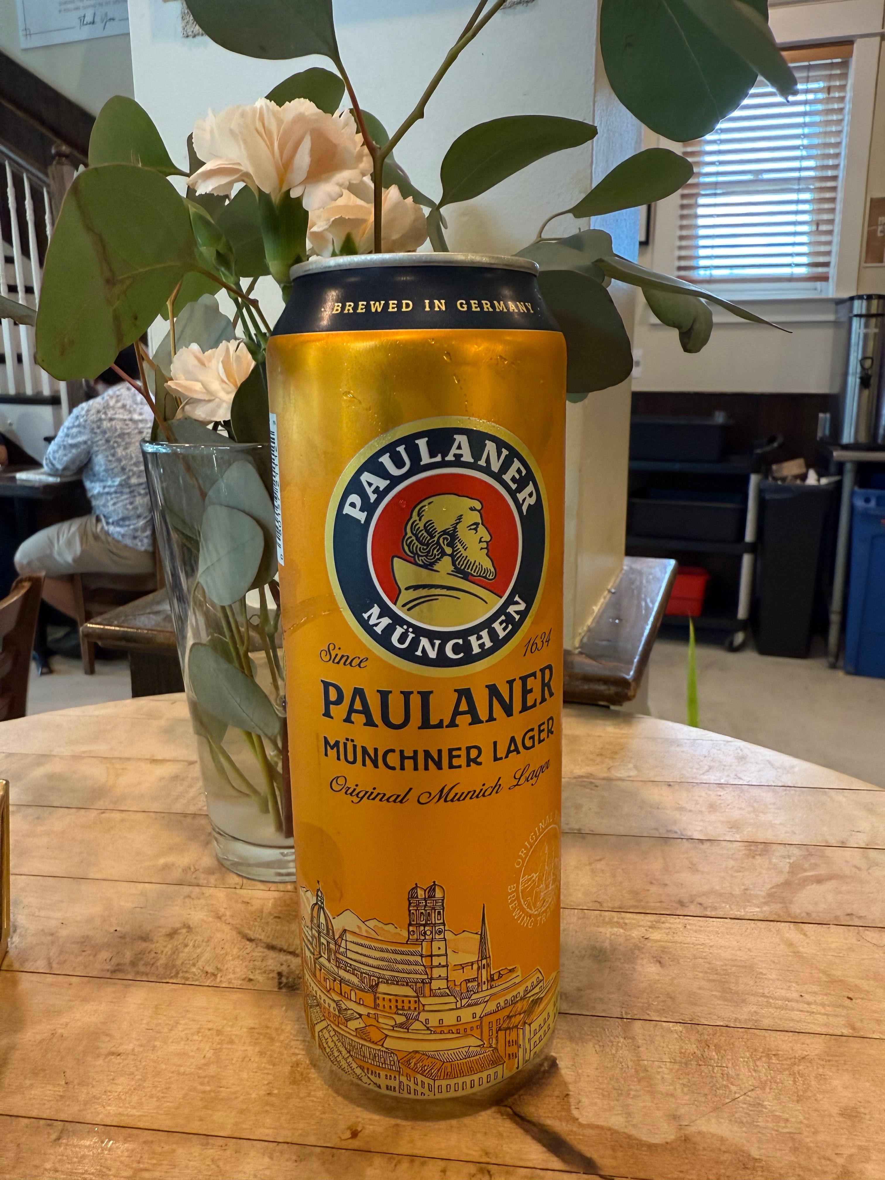 Paulaner Munich Lager|16oz