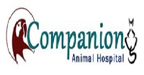 Companion Animal Hospital Photo