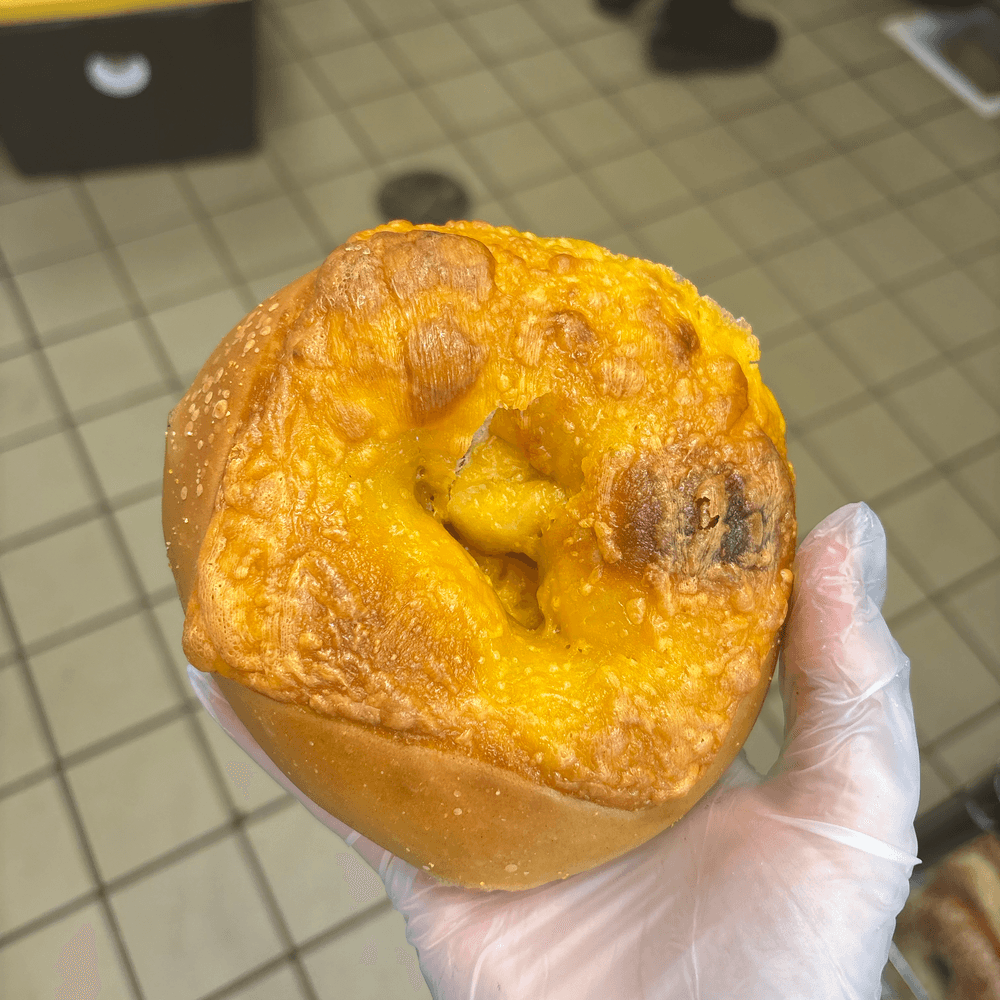 Cheddar Bagel