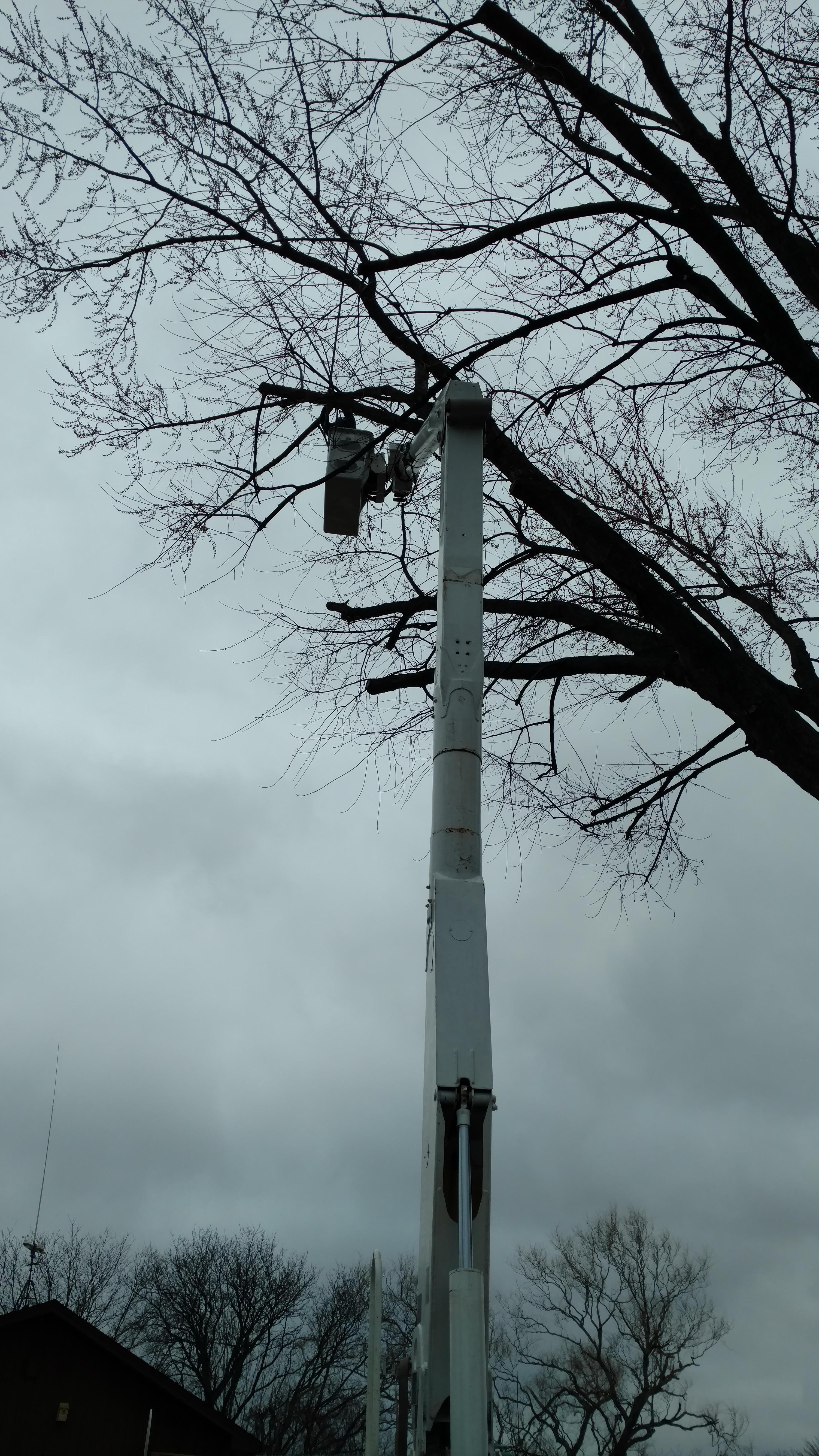 New Beginning Tree Service Company Image