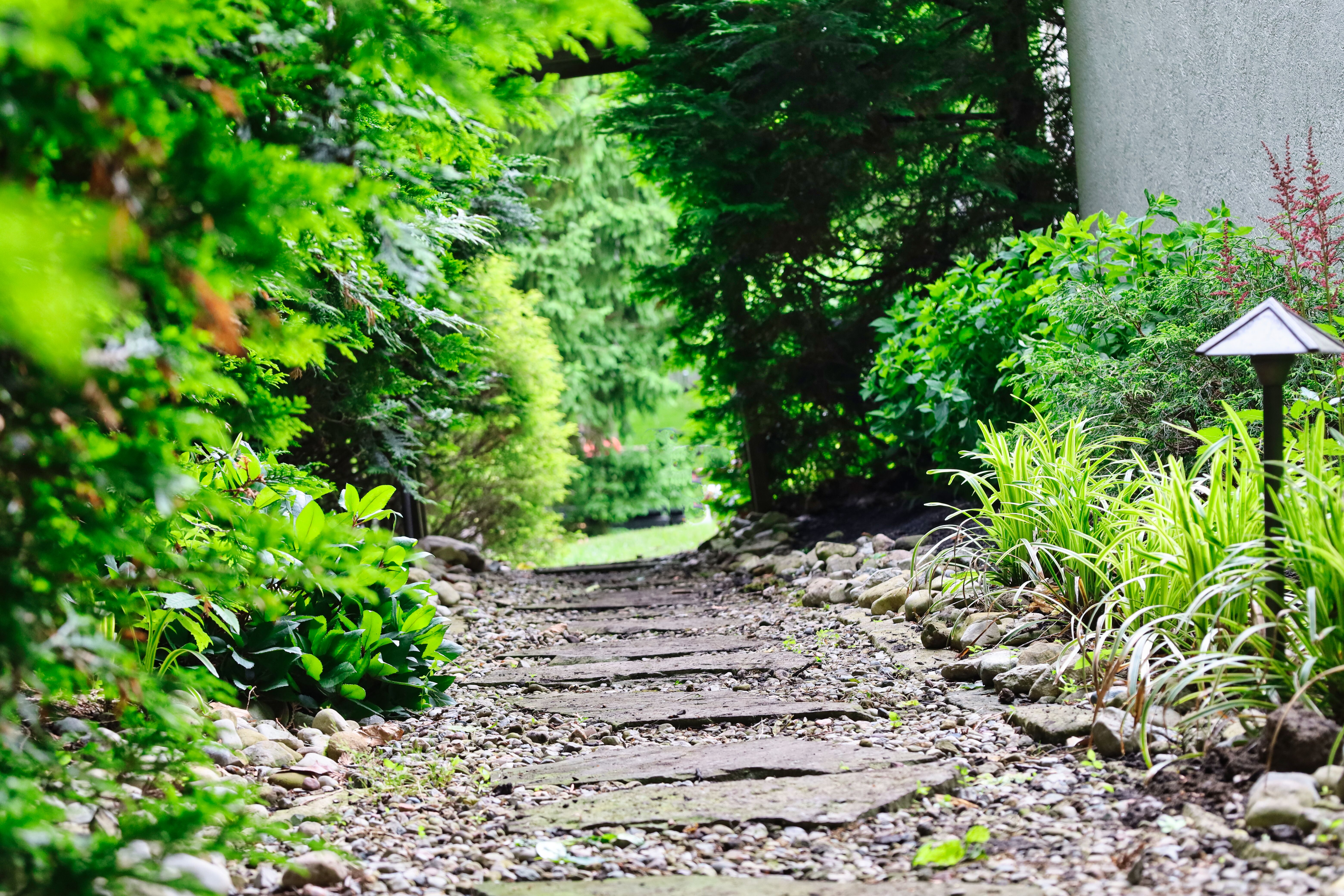 Oakwood Lawn & Landscaping Image