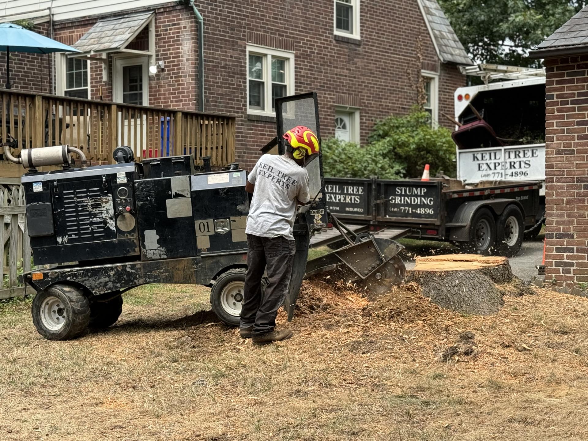 Keil Tree Experts Inc Image