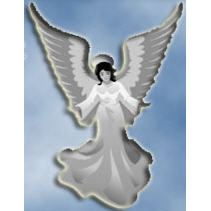 Angel's Home Care Services Inc