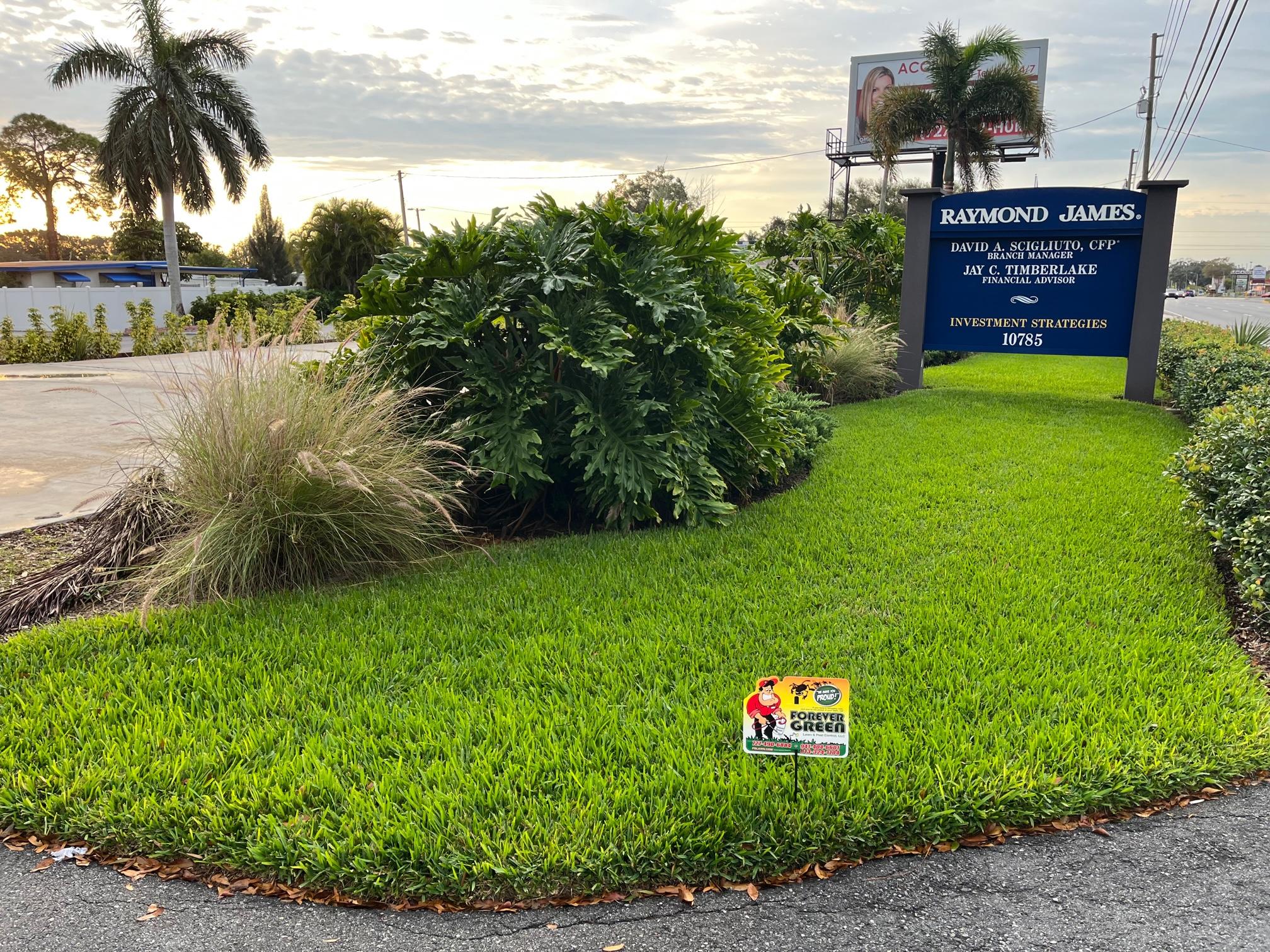 Forever Green Lawn and Pest Control Image