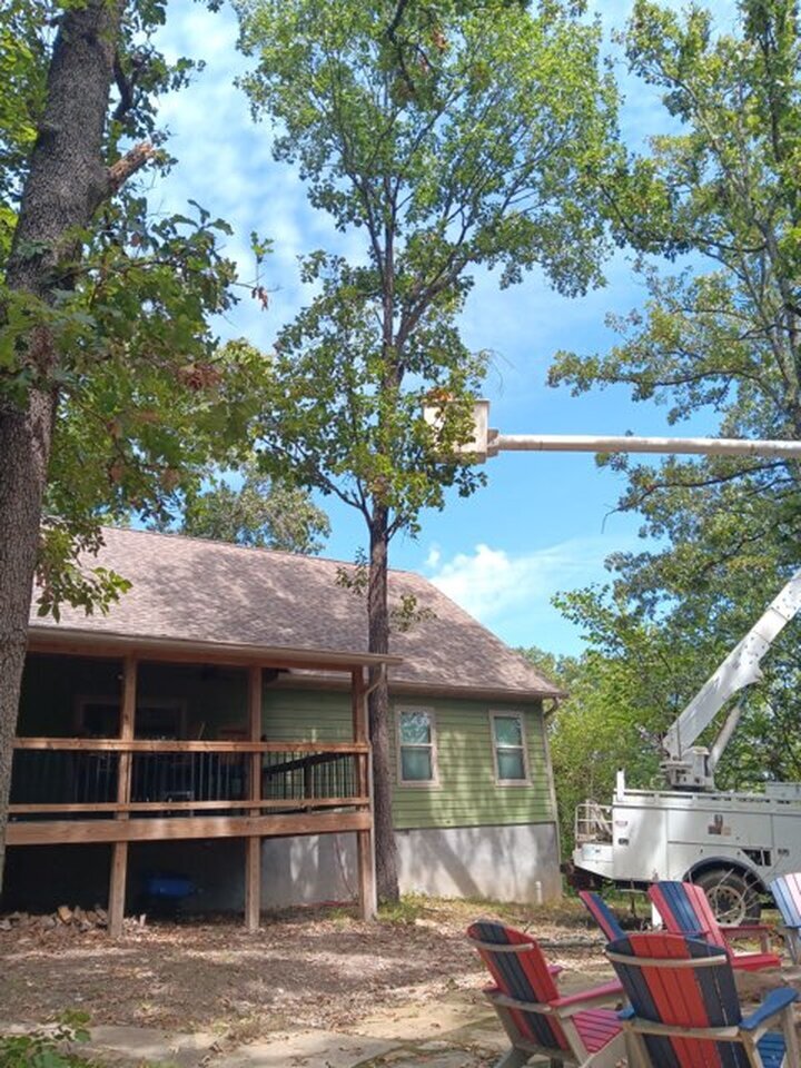 Triple G's Tree Service & Land Clearing Image