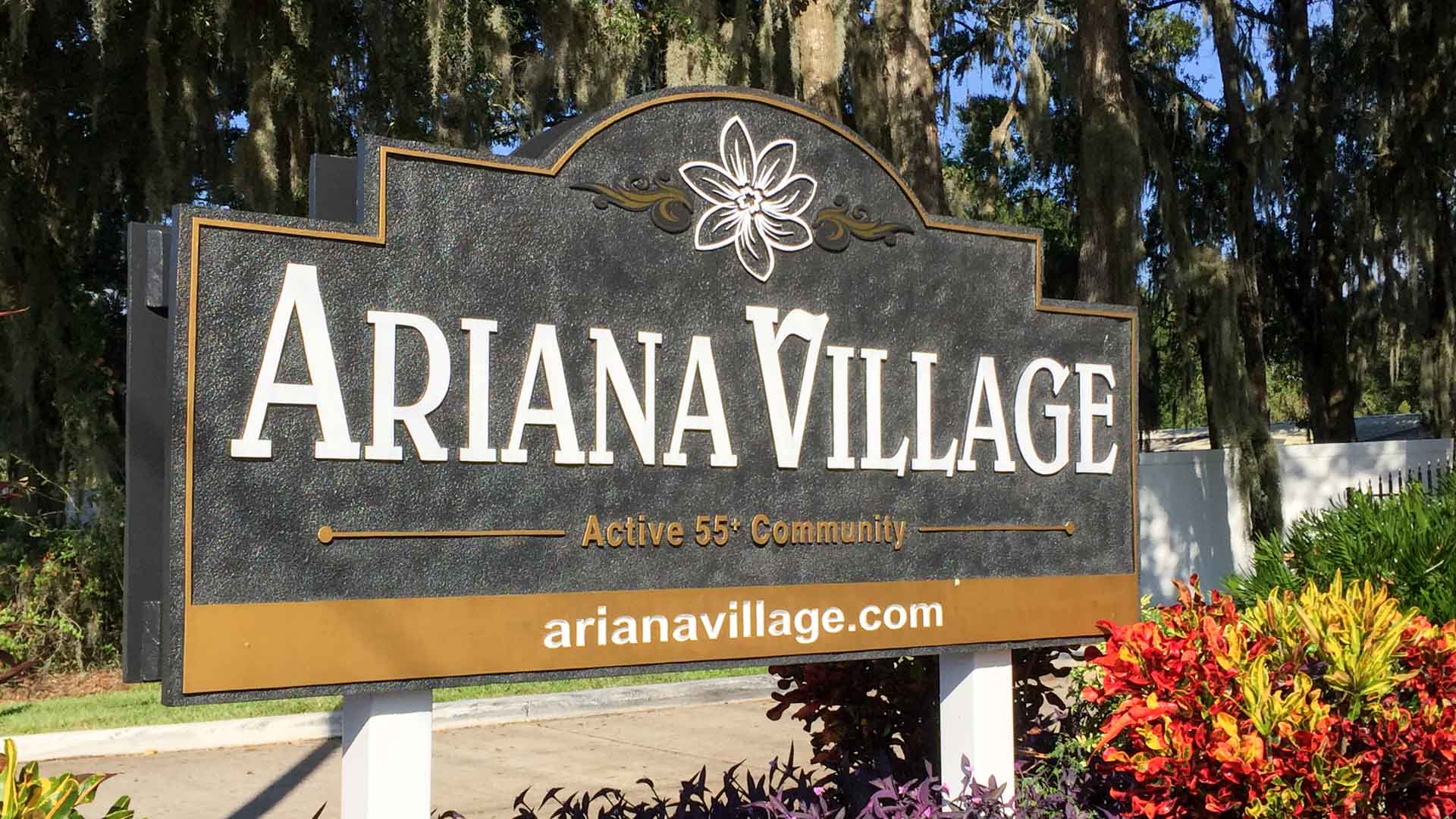 Ariana Village Photo