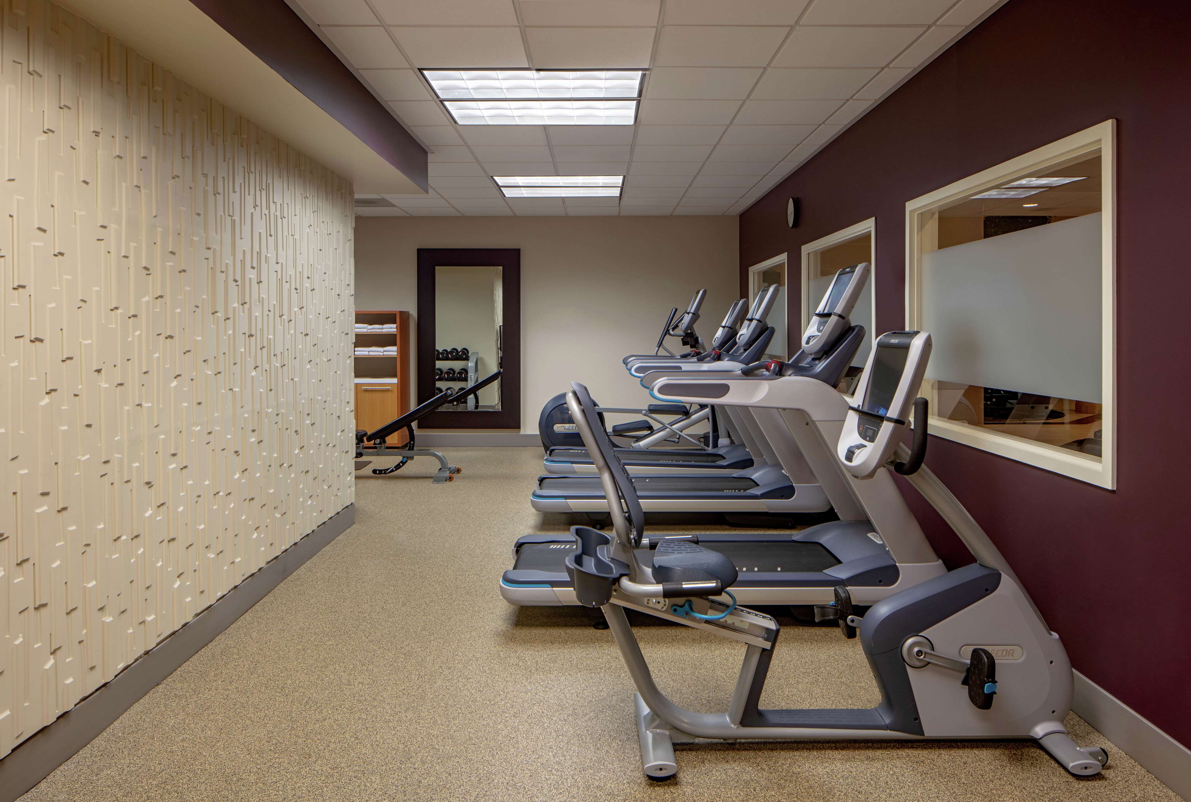 Health club  fitness center  gym