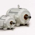Whitfield Electric Motors