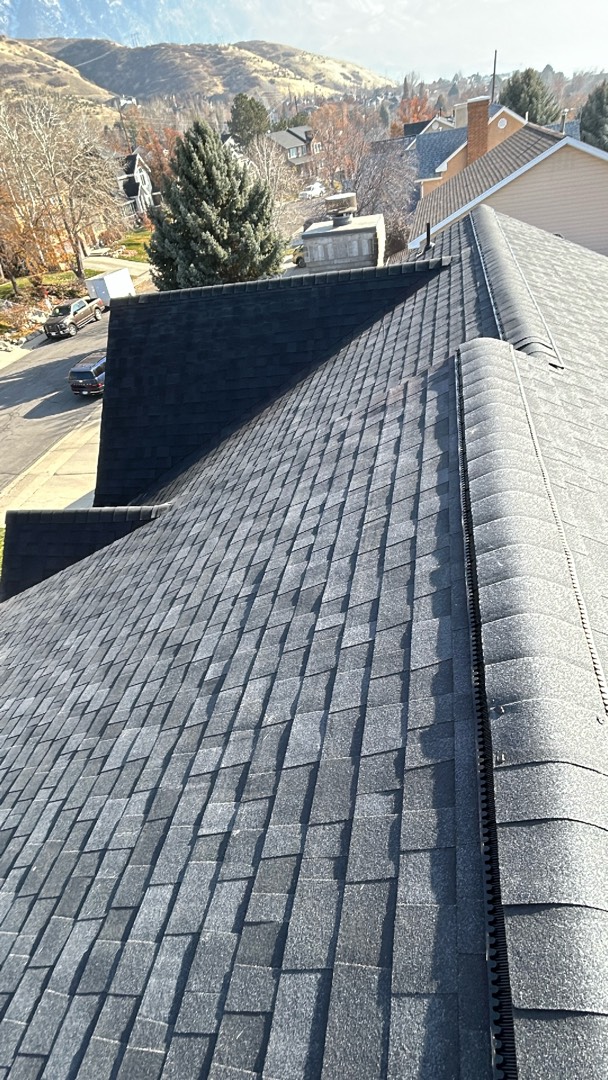 Nailed It Roofing & Construction, LLC Image