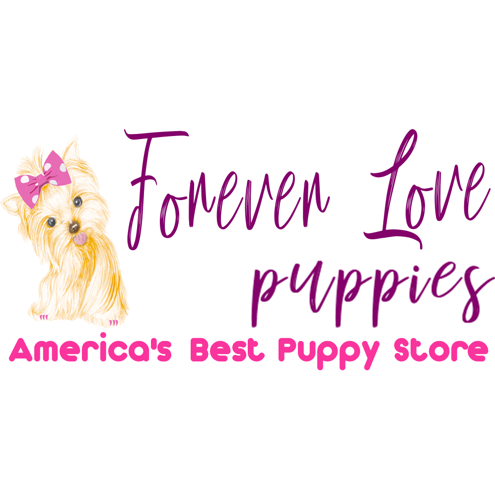 Forever Love Puppies Pembroke Pines Photo