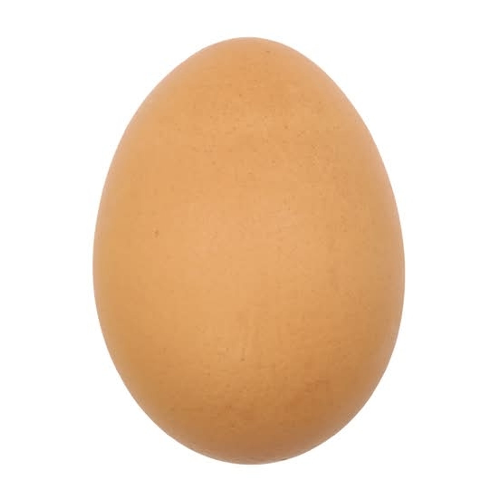 Boiled Egg