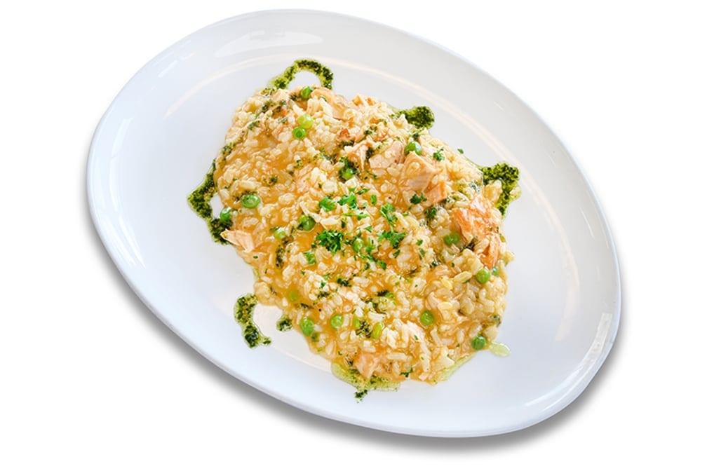 Salmon