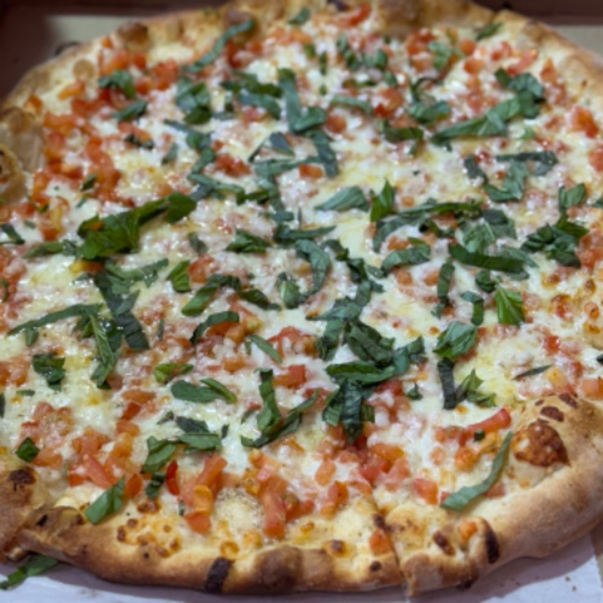 Tomato, Basil and Garlic Pizza