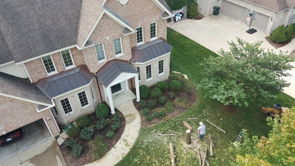 Huber Tree Expert Image