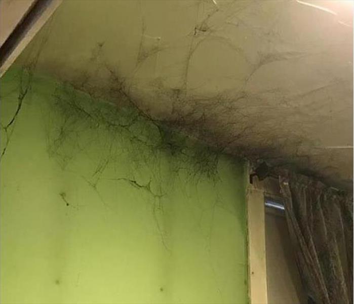 SERVPRO of Augusta Photo