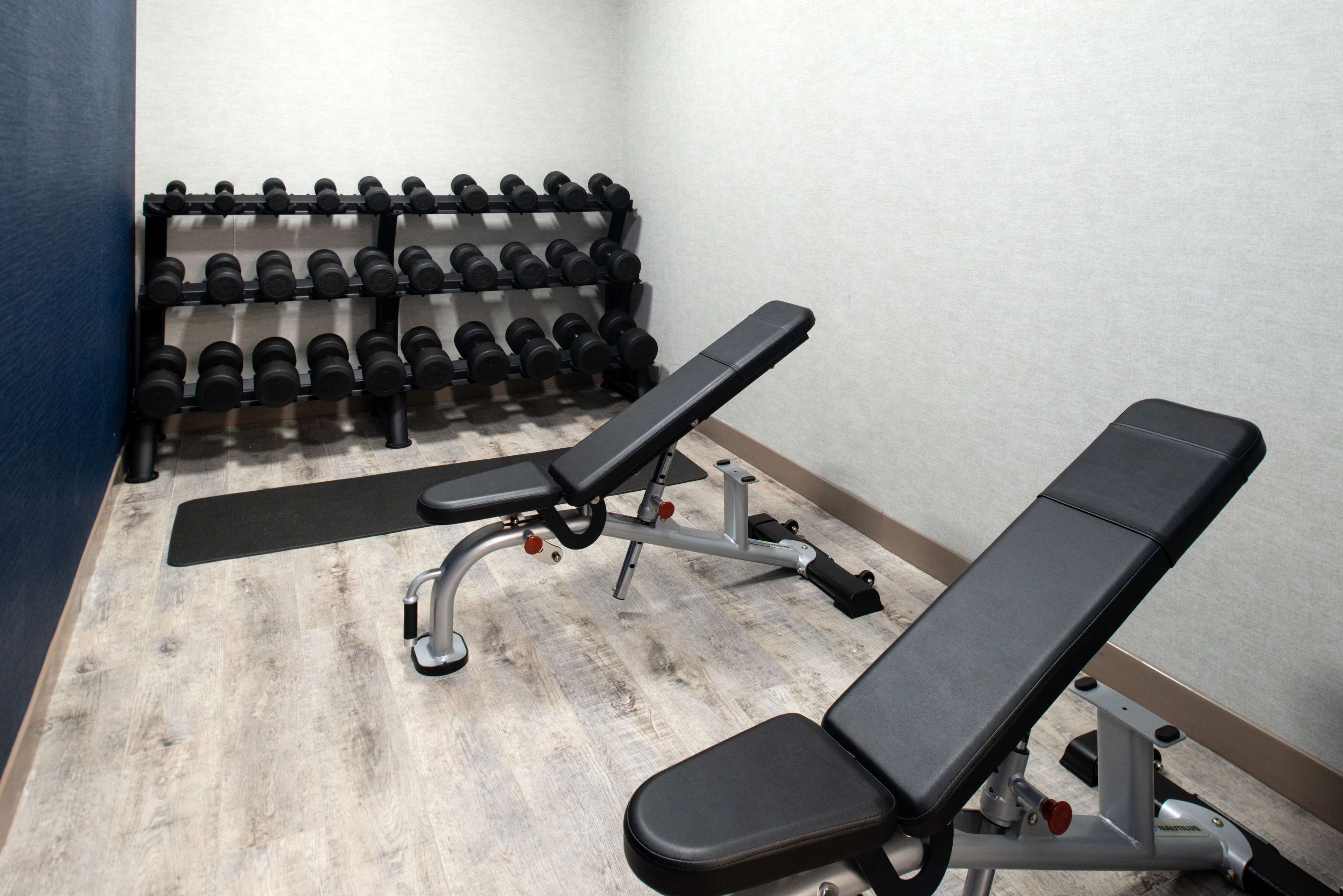 Health club  fitness center  gym