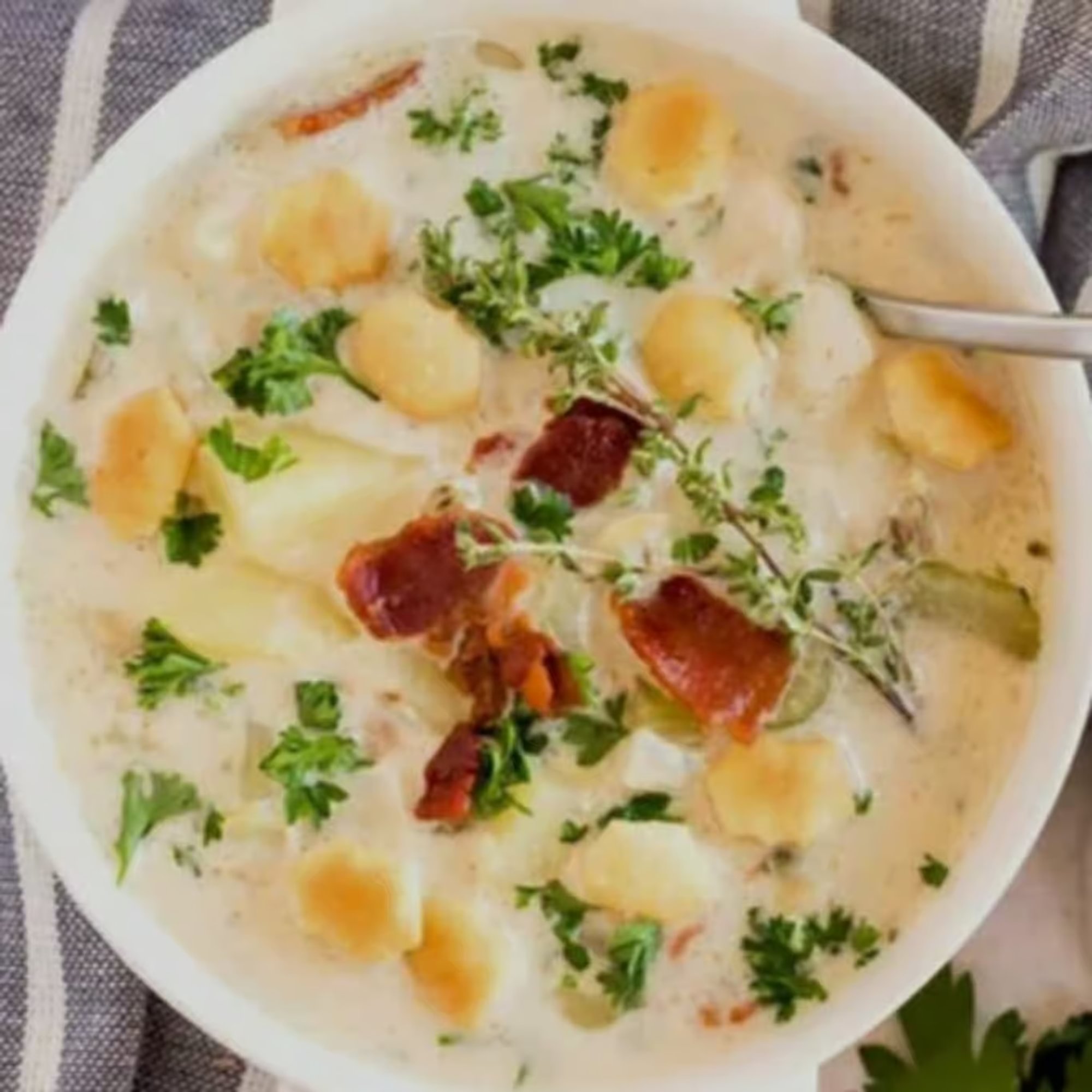 Clam Chowder Soup