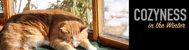 Images Motta Heating & Air Conditioning