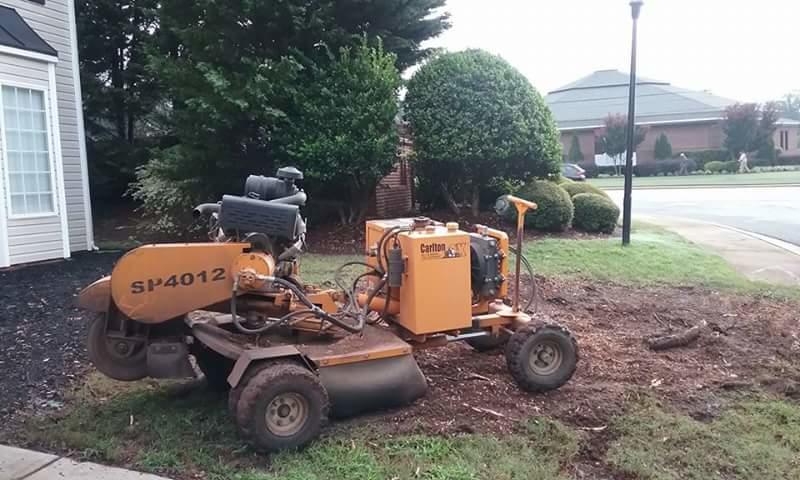 Tillotson's Tree Care Logo