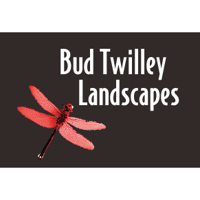 Bud Twilley Landscape