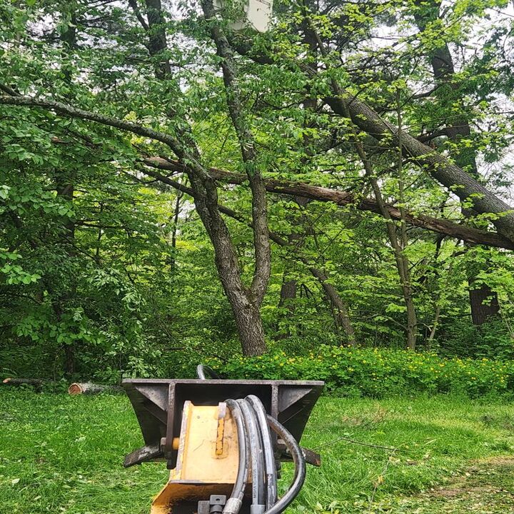 Saar's Tree Service LLC Image