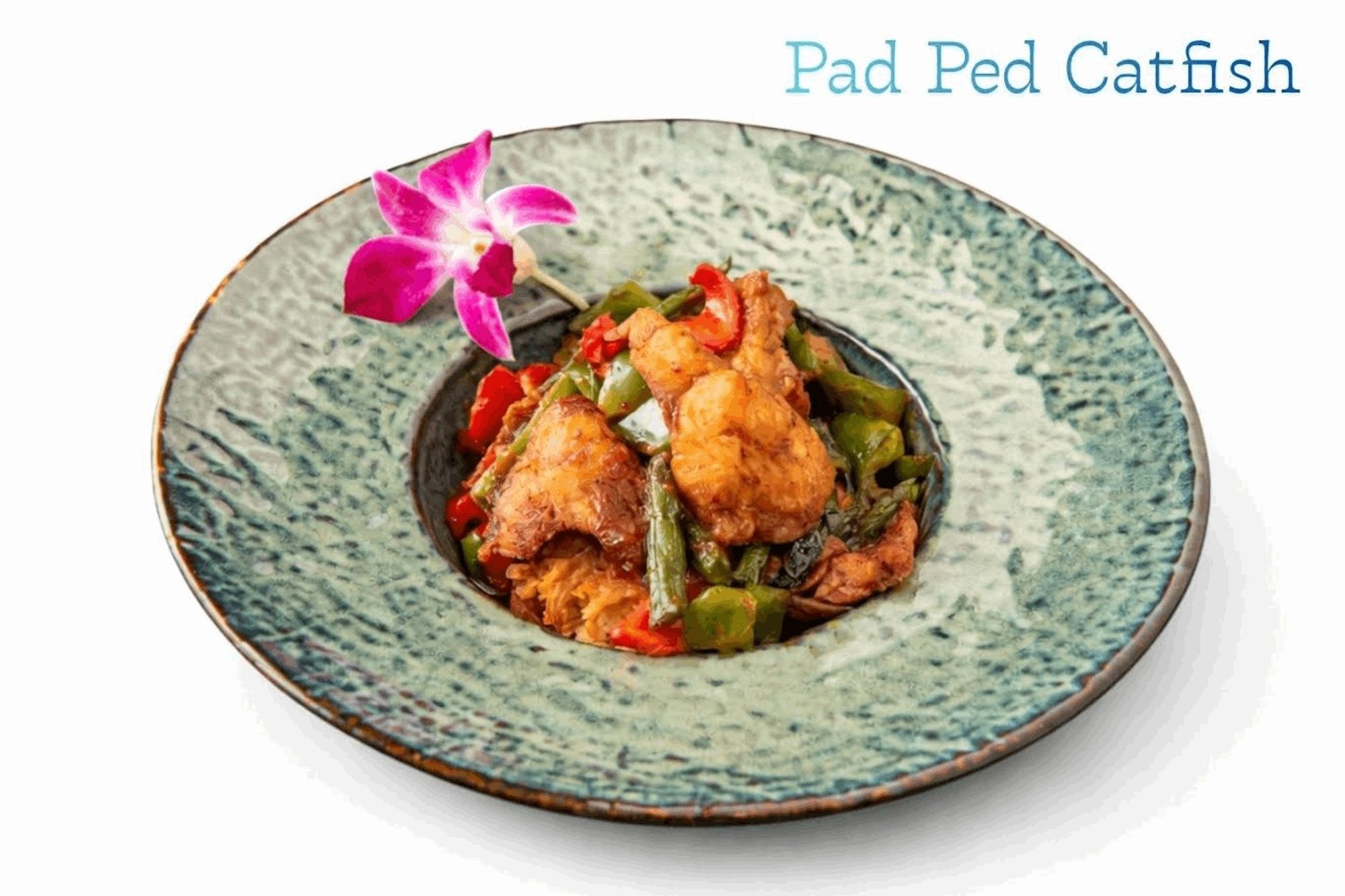 Pad Ped Catfish