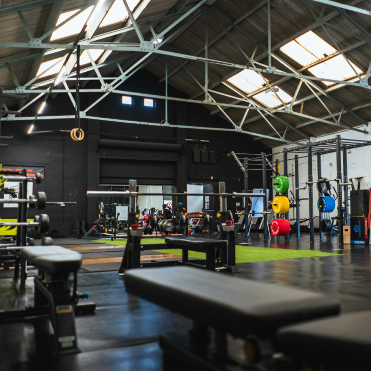 Galería en miniatura