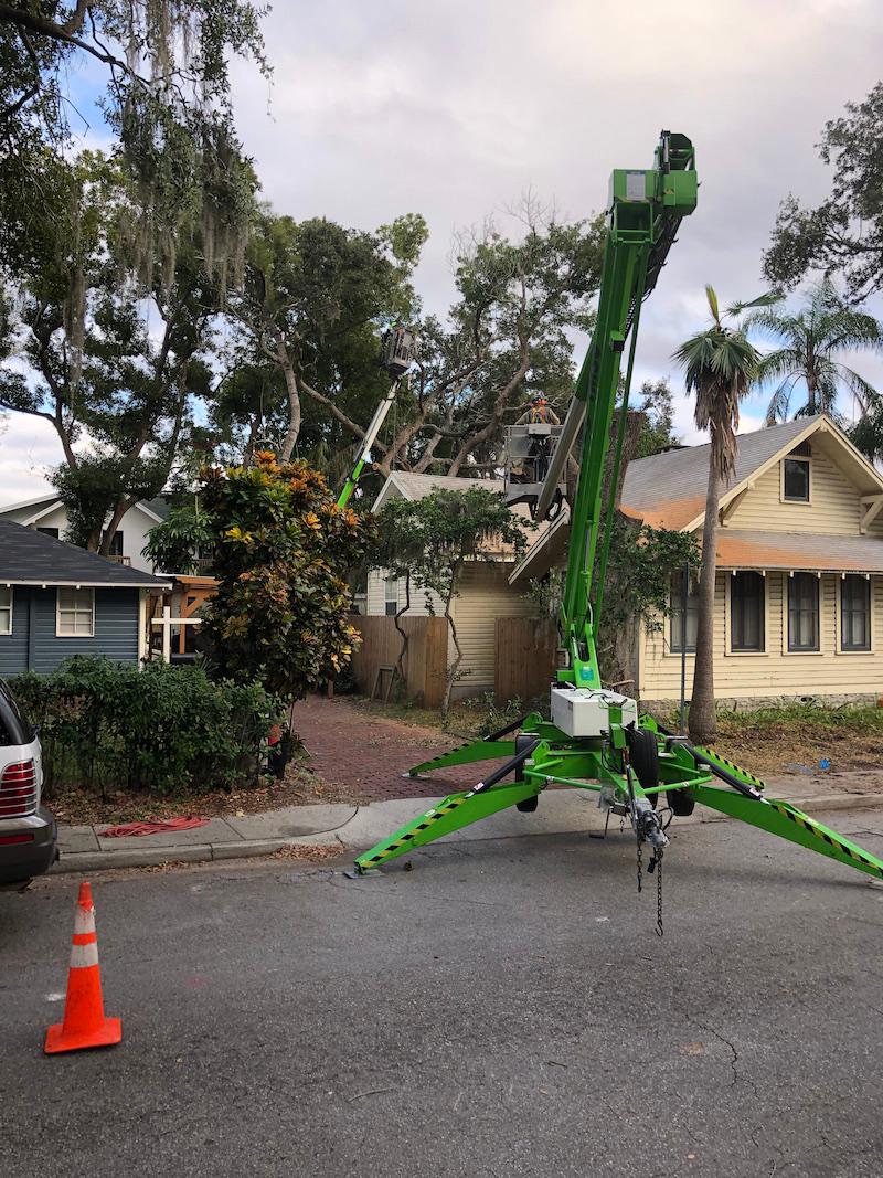 Warner Tree Service Photo