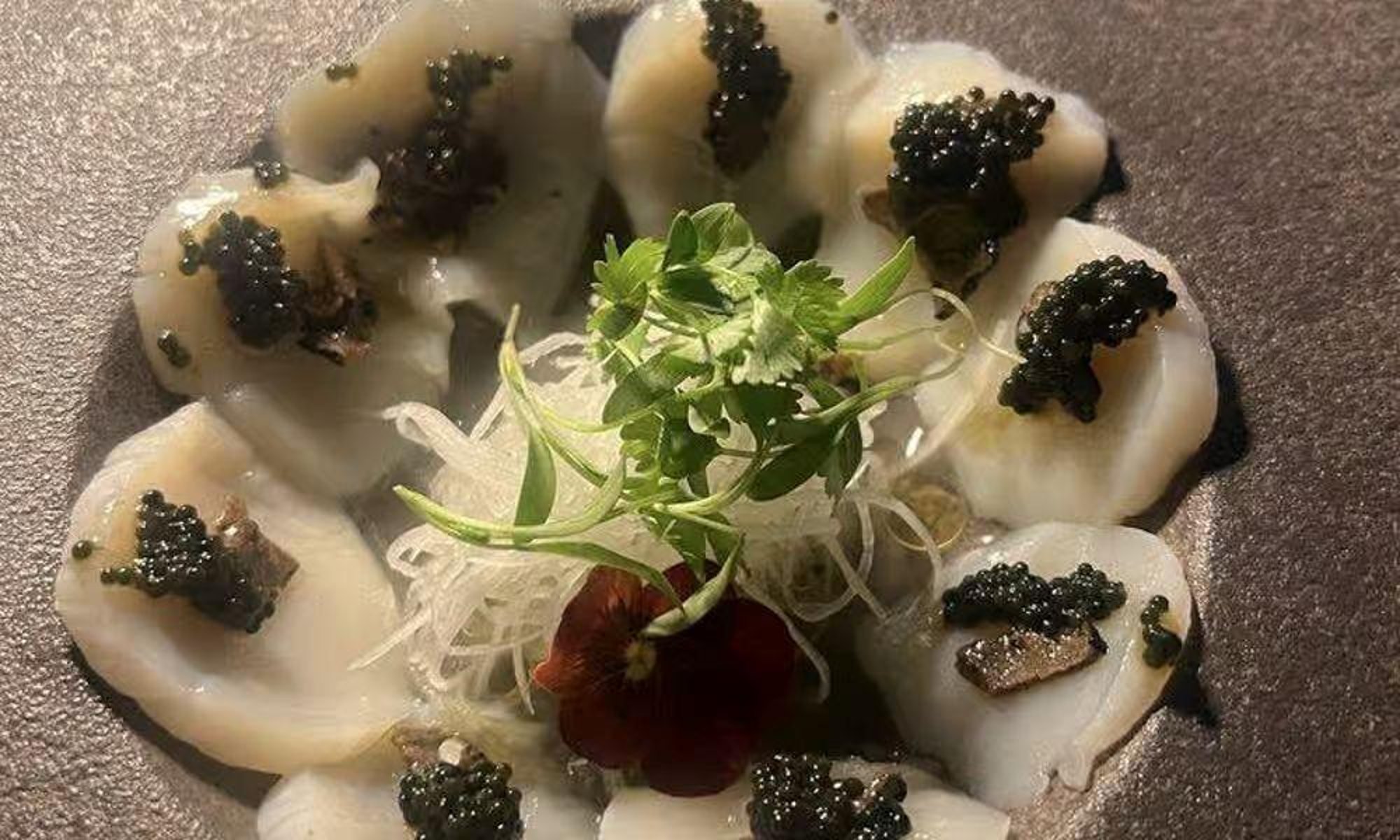 Scallop