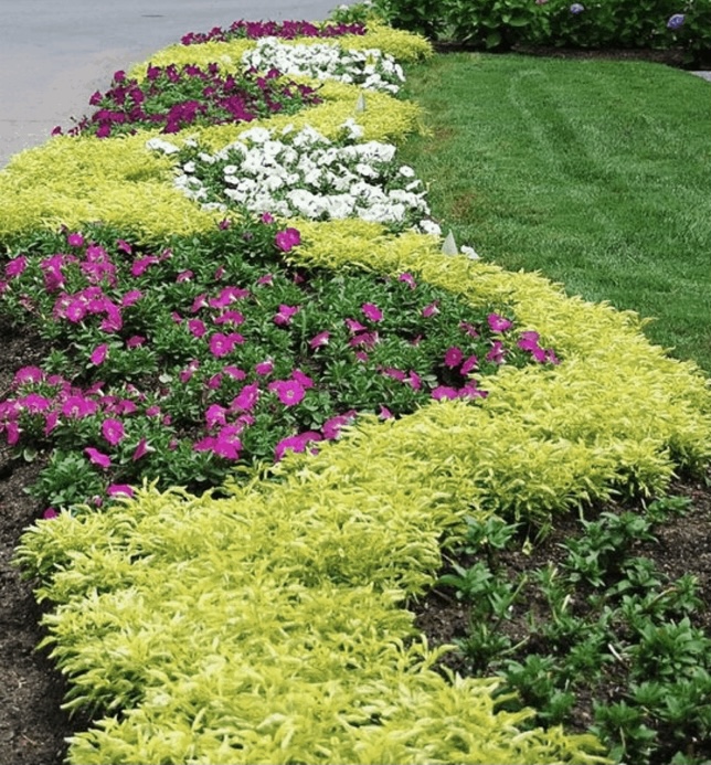 Mowtown Lawn and Landscape Image