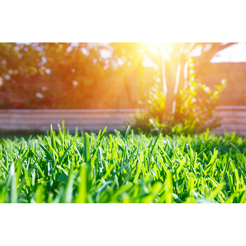 Grass Choppers Plus Logo