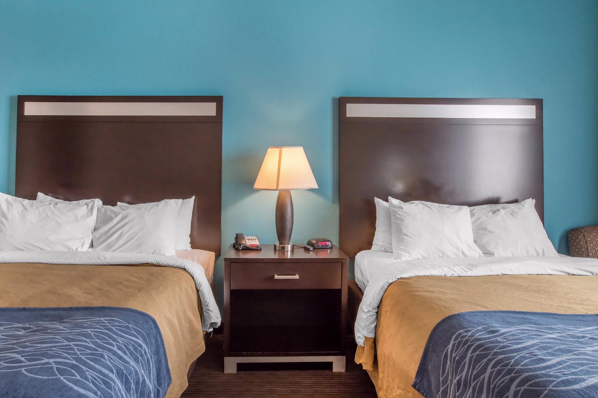 Comfort Inn & Suites Image