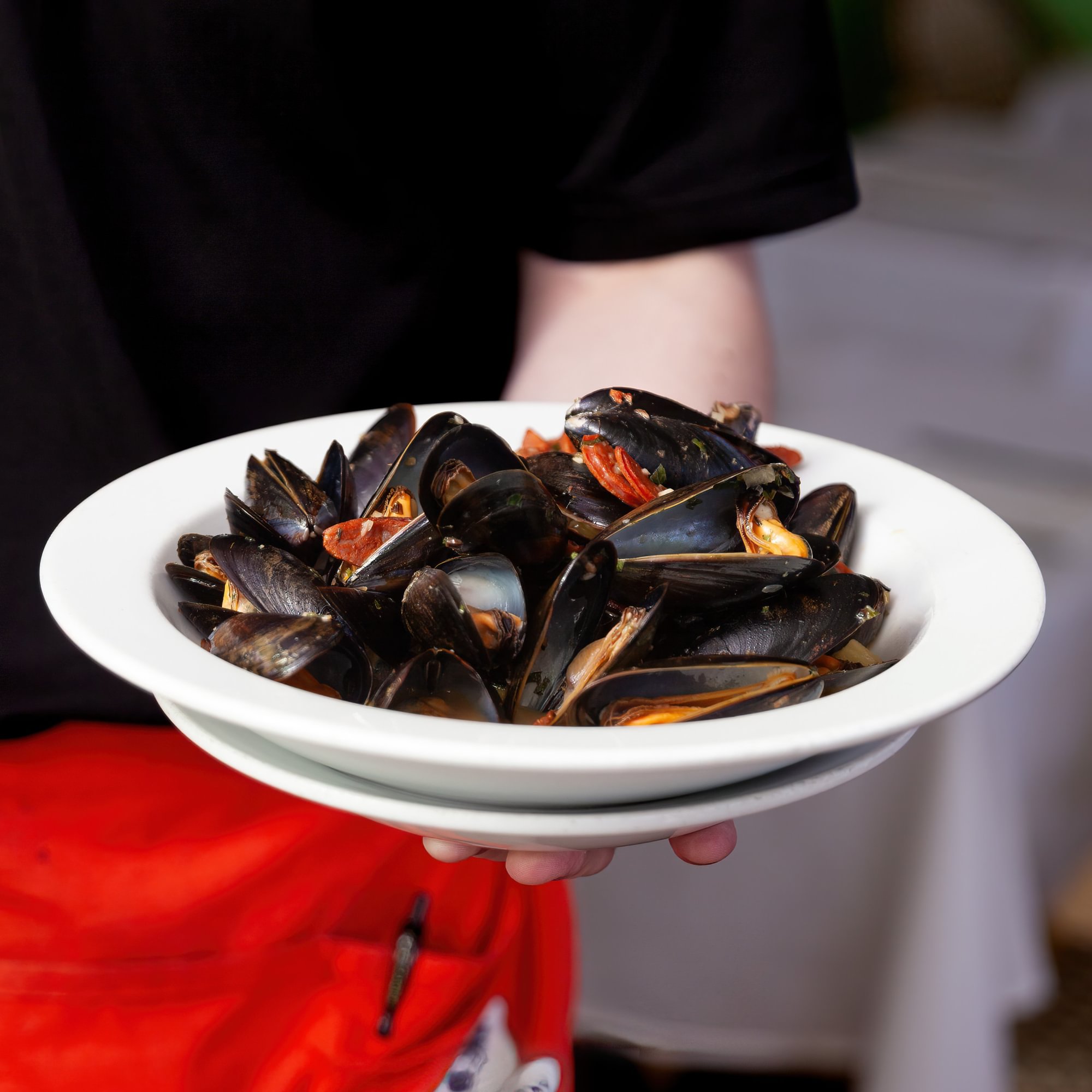 Mussels