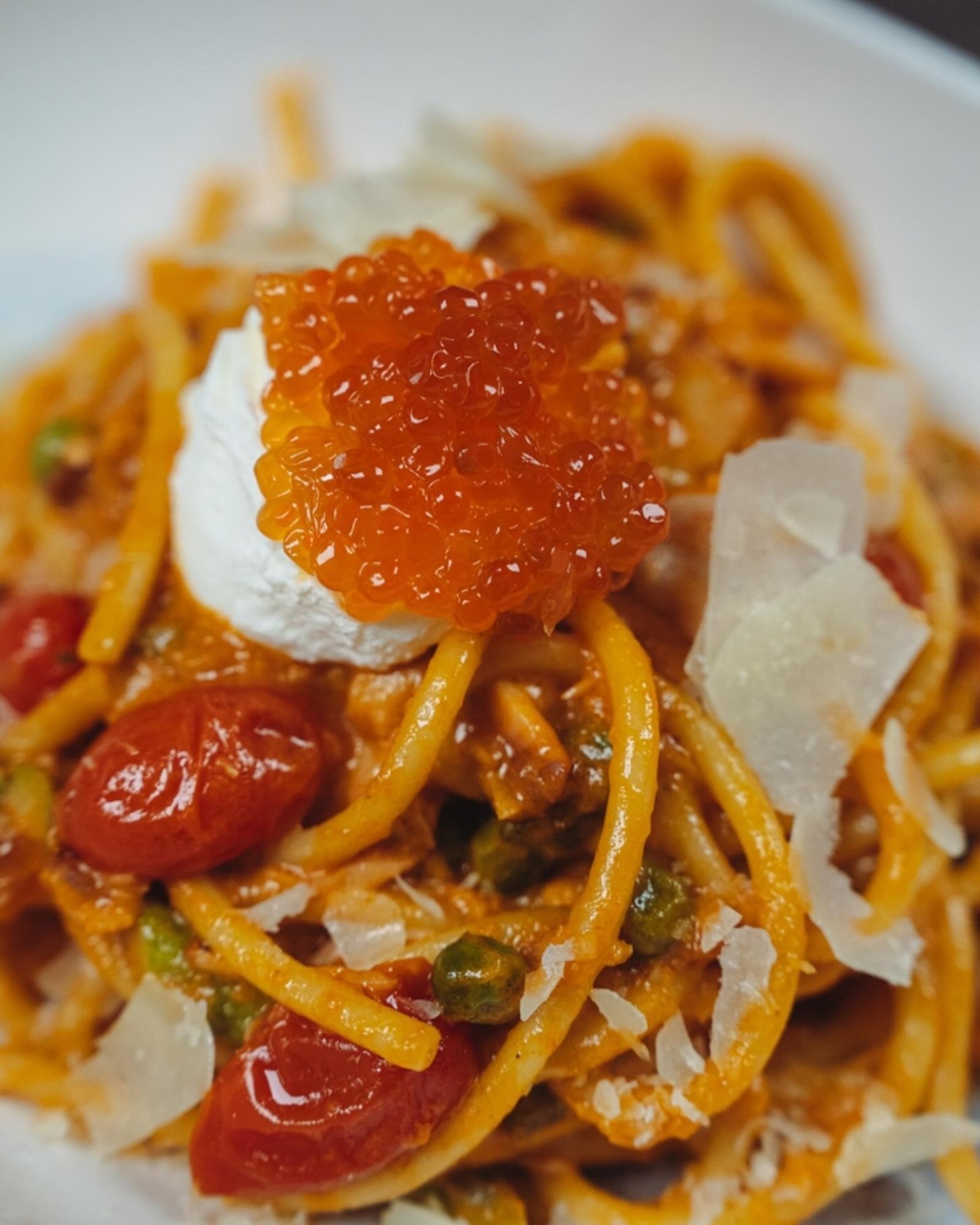 Bucatini Alla Salmone "Large"