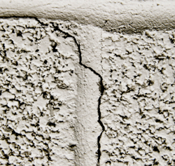 Century Termite & Pest Control Photo