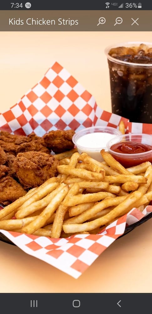 Kids Chicken Strips