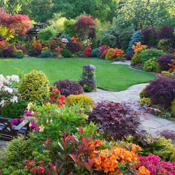 Images Beauchamp Lawn & Snow Services,