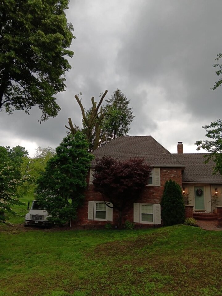 Triple G's Tree Service & Land Clearing Image