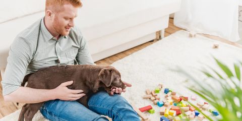 What Dog Owner Should Know About Essential Oils