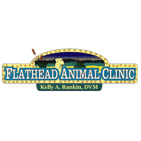 Flathead Animal Clinic