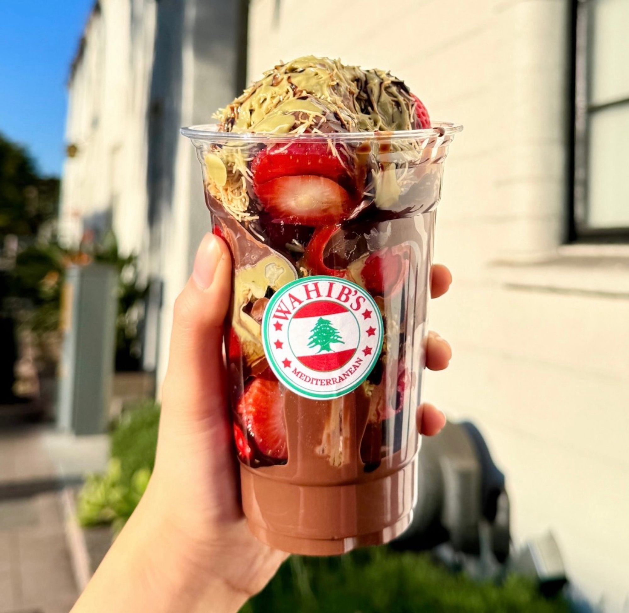 Dubai Strawberry Chocolate Cup