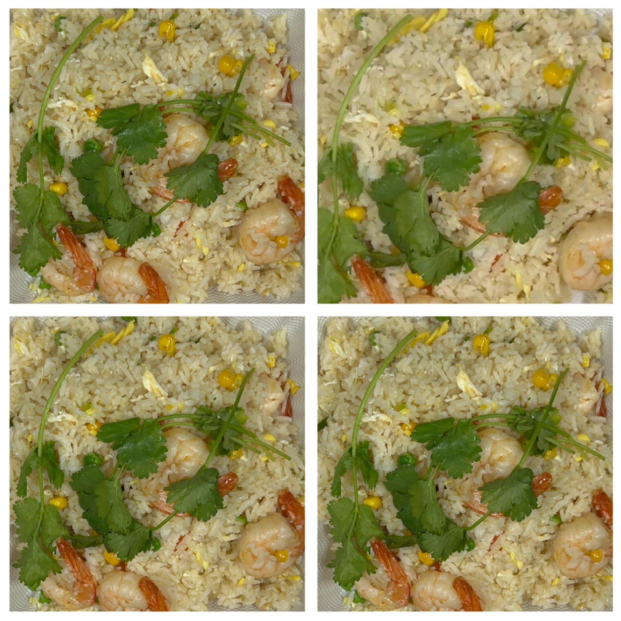 PT8. FRIED RICE