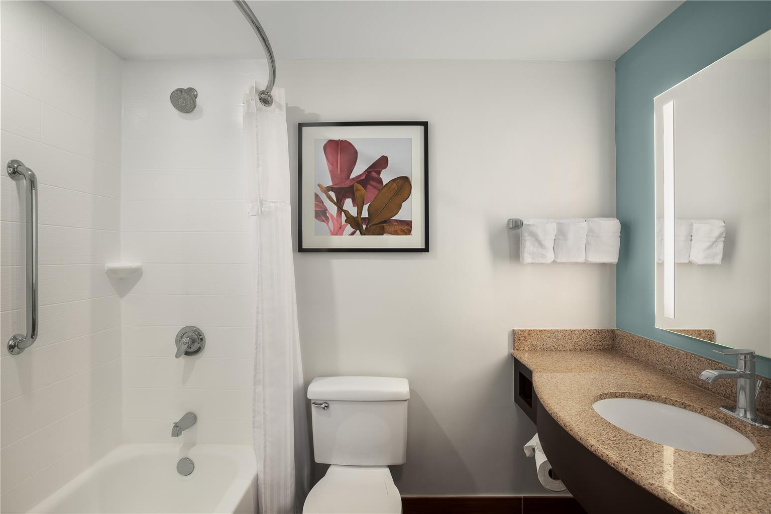 Hilton Garden Inn Tampa North Image