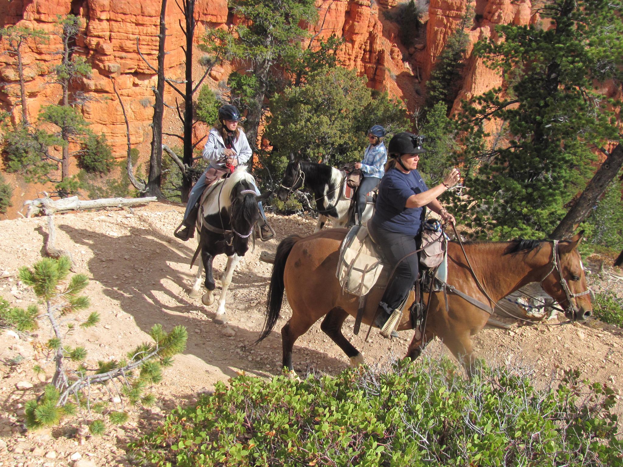 Trail Rides