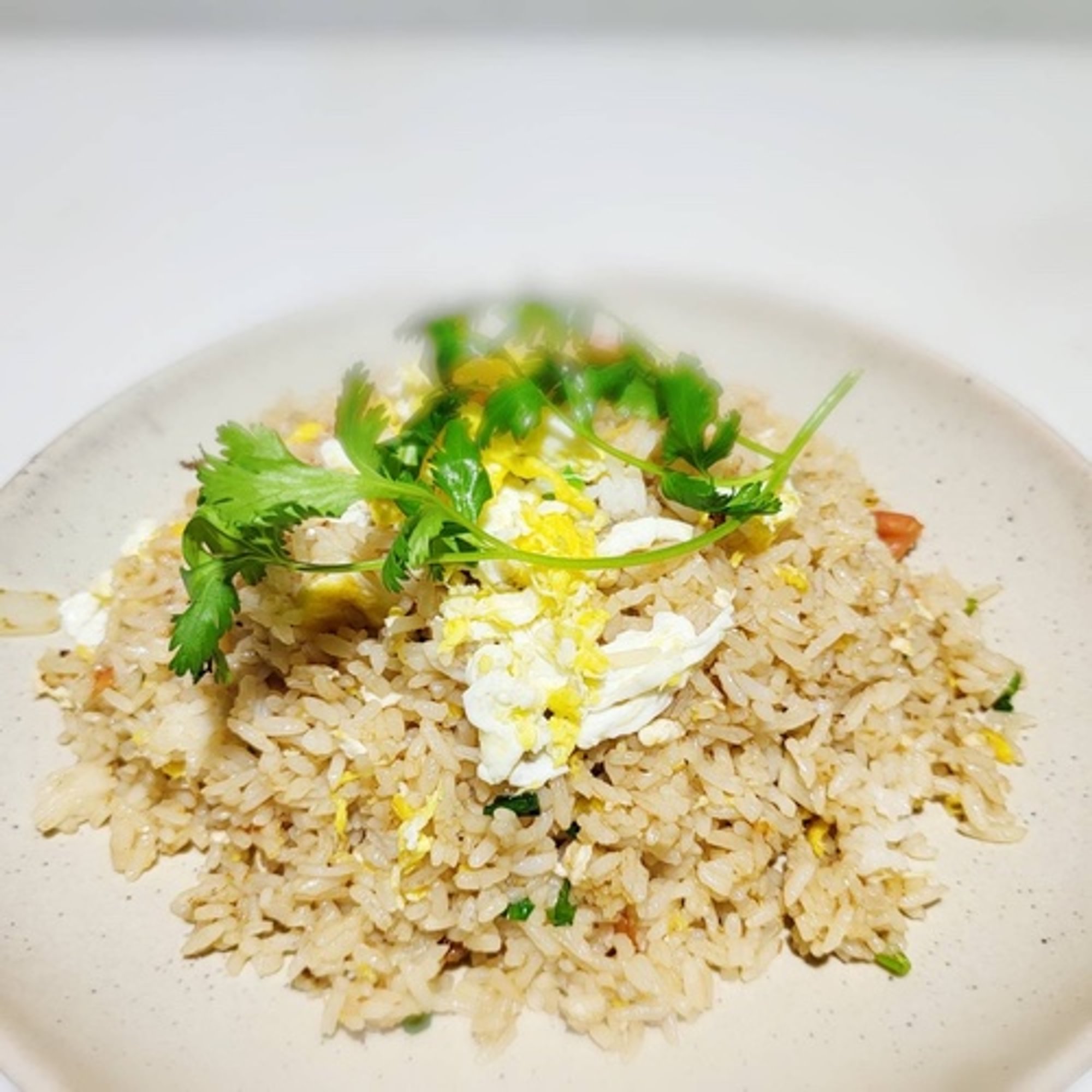 Small Fried Rice with Egg