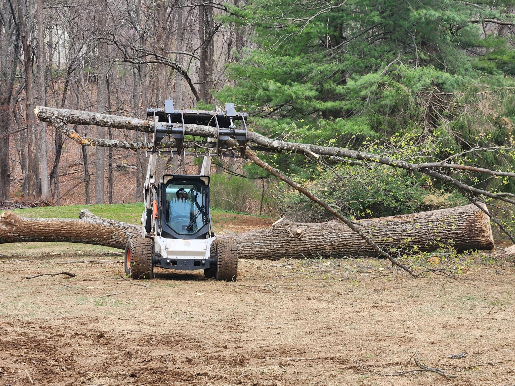 Keil Tree Experts Inc Image